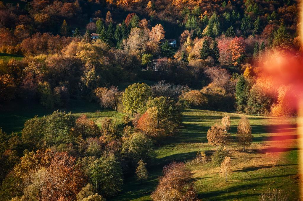 Villa La Casa Di Emy Solto Collina Zimmer foto